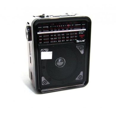 Радіоприймач RX-9100 USB+SD Радіо з ліхтарем Golon ws15633 фото