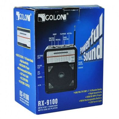Радіоприймач RX-9100 USB+SD Радіо з ліхтарем Golon ws15633 фото