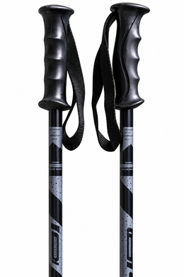 Палиці гірськолижні Elan RockRod Junior Black CD8343230 фото
