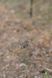Намет Tramp Brest 4 (V3) UTRT-110-sand UTRT-110-sand фото 30