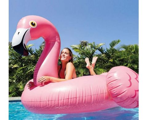 Надувний пліт для катання Intex 57288 «Фламінго», 203 х 196 х 124 см 57288-flamingo фото
