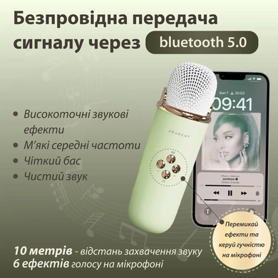 Колонка з мікрофоном блютуз акустика бездротова колонка для телефону Зелений C20GR фото