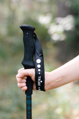 Трекінгові палиці Tribe Trekking Pole Carbon T-ME-0027-ocean T-ME-0027-ocean фото