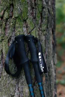 Трекінгові палиці Tribe Trekking Pole Carbon T-ME-0027-ocean T-ME-0027-ocean фото