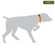 Нашийник сигнально-звуковий для мисливських собак Acropolis ЗЗО-1а СЗО-1а фото 3