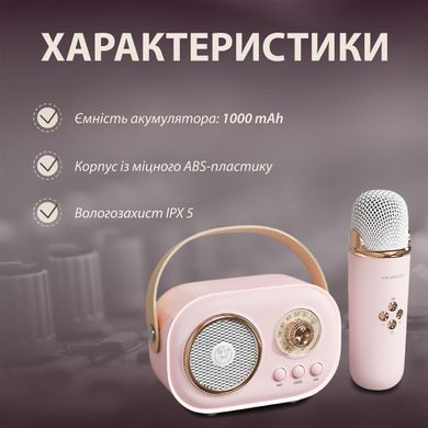 Колонка з мікрофоном блютуз акустика бездротова колонка для телефону C20P фото