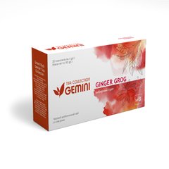 Чай Gemini Гранд Пак для чайника Ginger Grog Імбирний грог 20шт 0052 фото