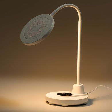 Настольная лампа на гибкой ножке от сети лампа для письменного стола светильник настольный HP072TB23SA фото