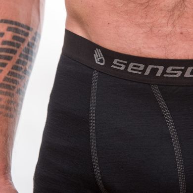 Термотруси чоловічі Sensor Merino Active black 12110021, SM21MA-black-XXL SM21MA-black-XXL фото